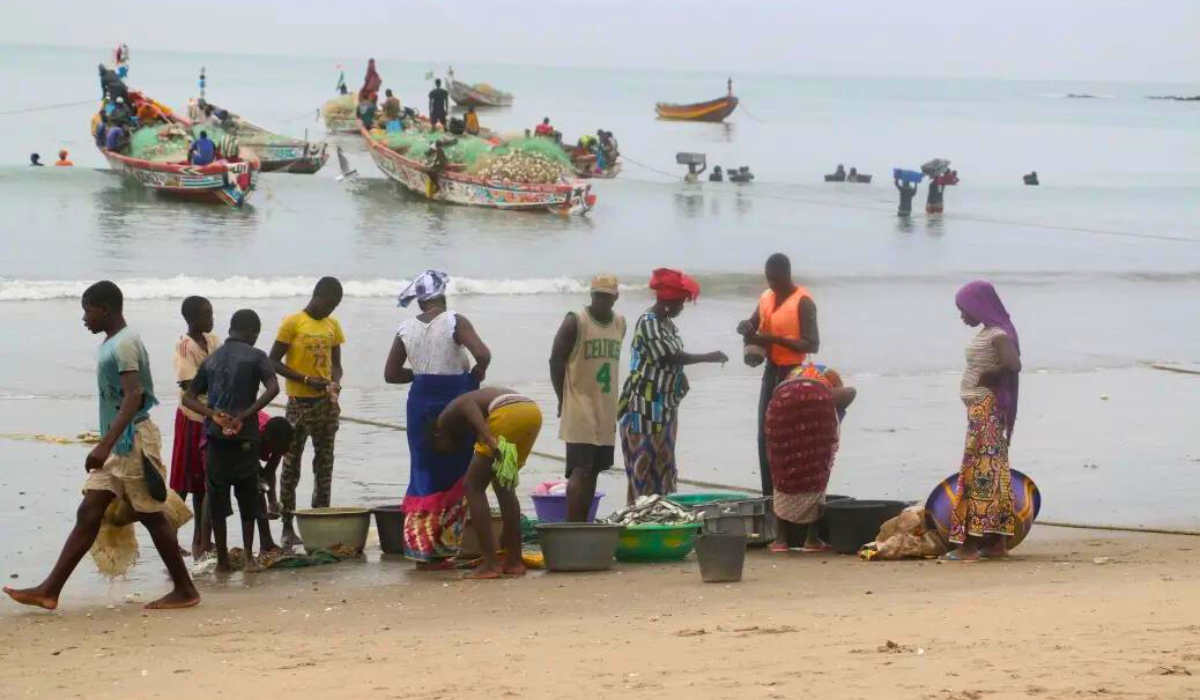 photo: Local fish market at  Niumi Biosphere Reserve (Gambia)